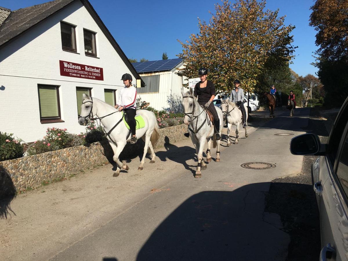 Reiterhof Wollesen Otel Süderlügum Dış mekan fotoğraf