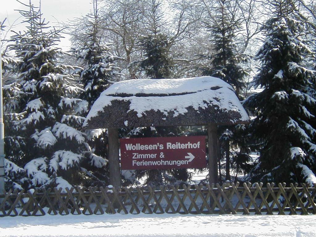 Reiterhof Wollesen Otel Süderlügum Dış mekan fotoğraf